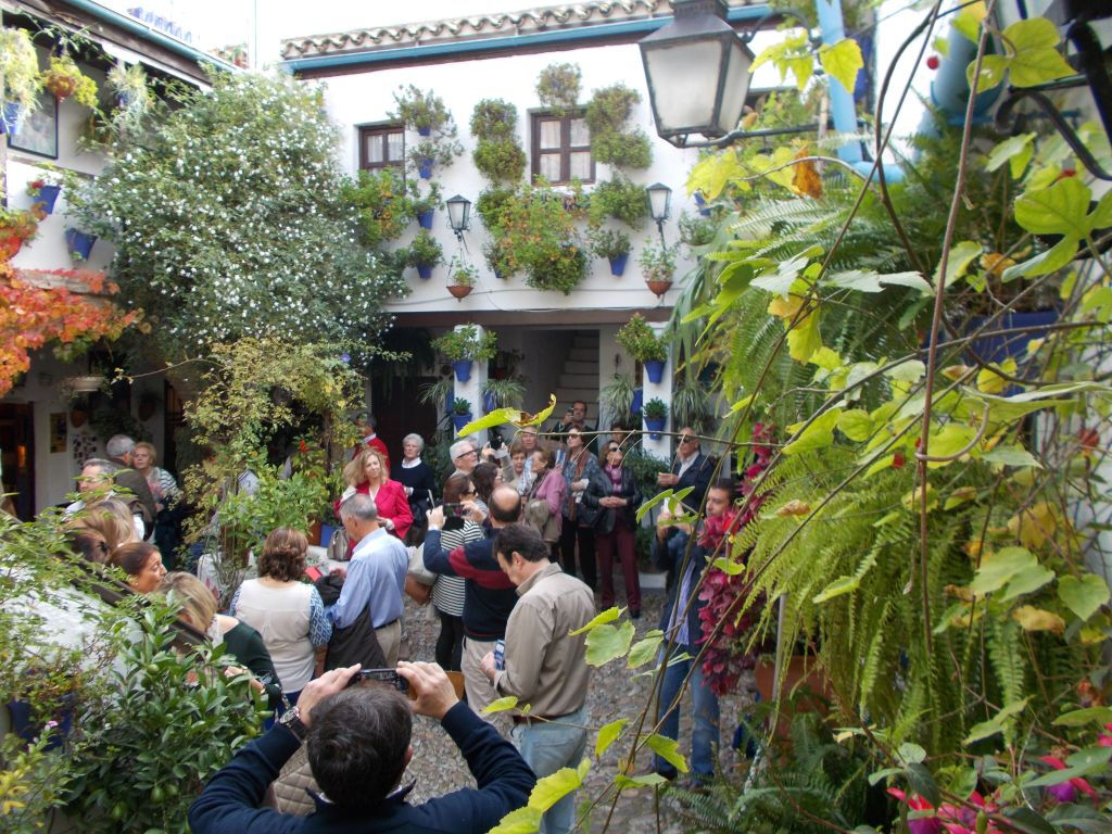 Patios de Córdoba: Visita guiada
