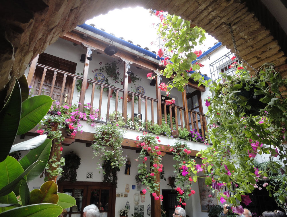 Patios de Córdoba: Visita guiada