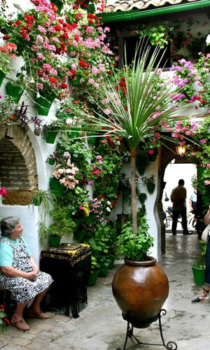 Patios de Córdoba: Visita guiada
