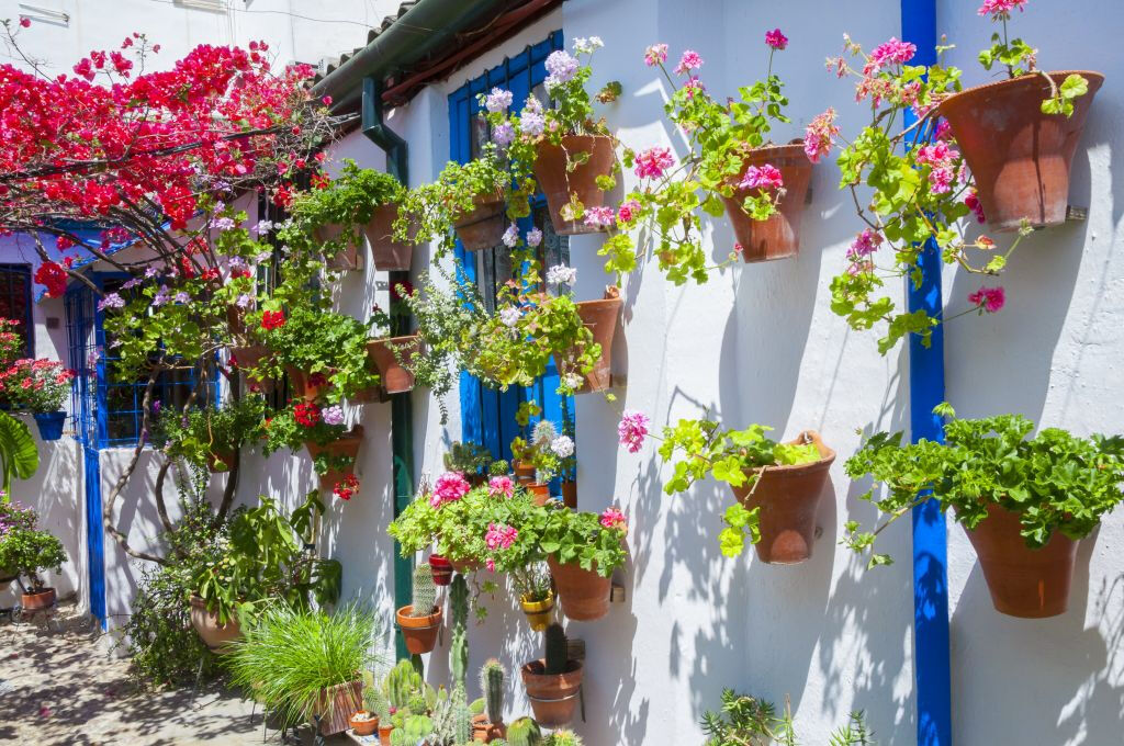 Patios de Córdoba: Visita guiada