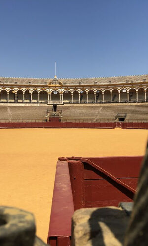 Real Maestranza : Visite guidée