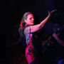El Toro y la Luna Tablao Flamenco Show with Drink