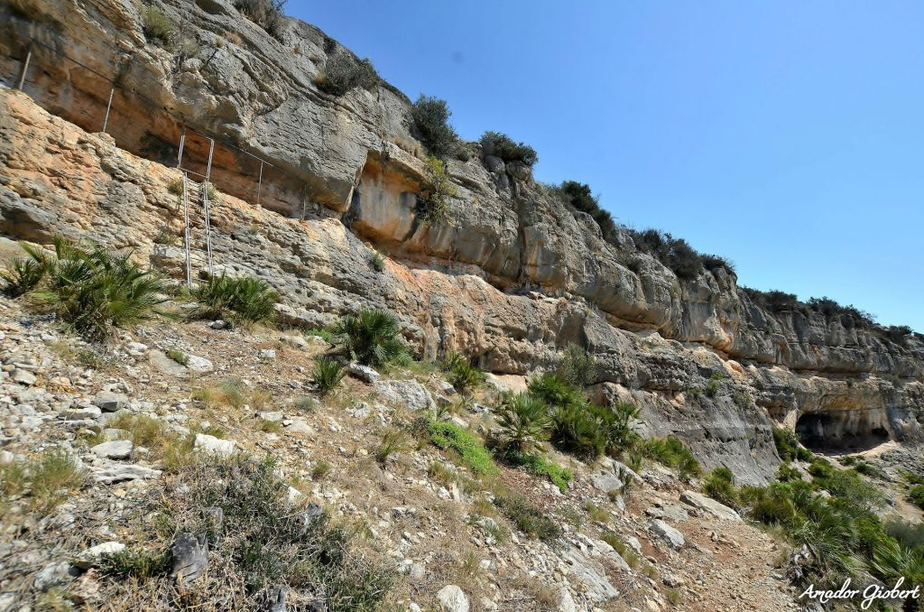 Peintures rupestres d'Ulldecona : visite guidée