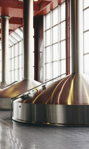 Guided Tour of the Estrella Damm Brewery