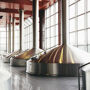 Guided Tour and Beer Tasting