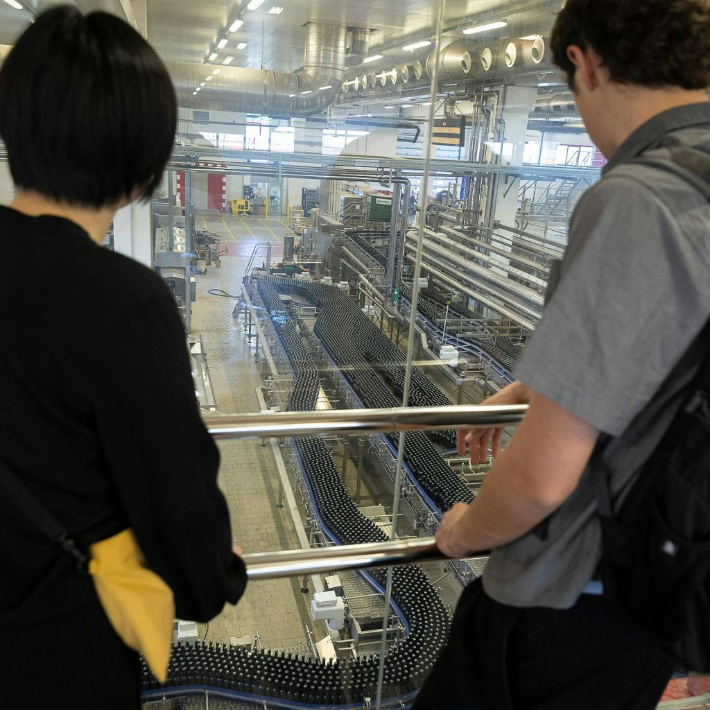 Visita guidata alla Fabbrica di Estrella Damm