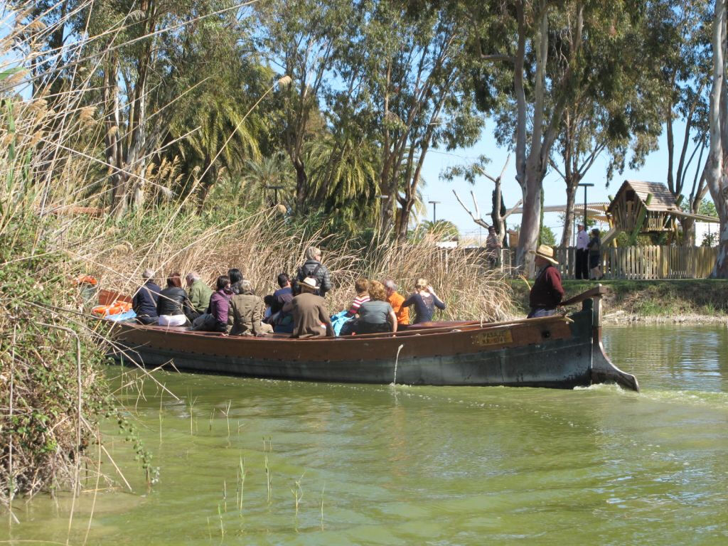 Albufera: Bus + Barco desde Valencia