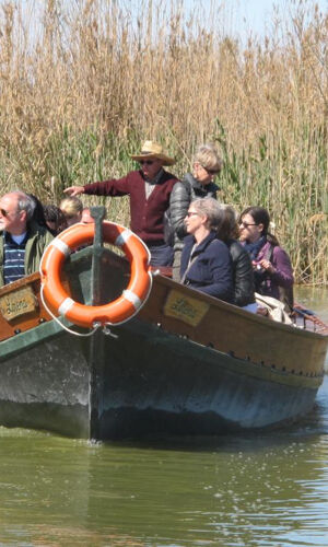 Albufera: Bus + Barco desde Valencia