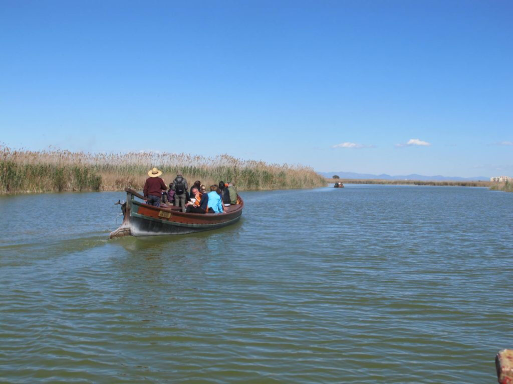 Albufera Bus & Boat from Valencia