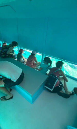 Excursión en Barco con Fondo de Cristal: Cap Norfeu + Nadar desde Roses y Santa Margarita