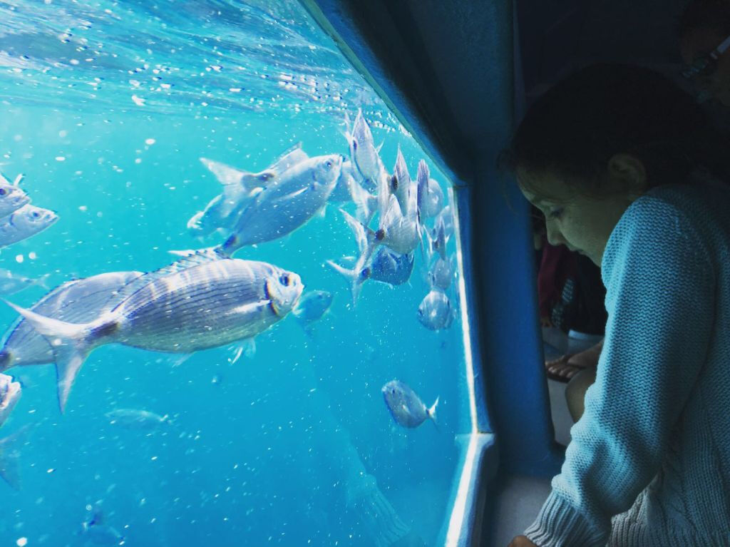 Glass Bottom Boat Trip: Cap Norfeu + Swimming from Roses & Santa Margarita