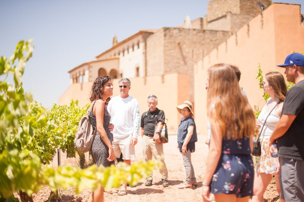 Montserrat & Wineries: Round trip + Wine Experience with Traditional Meal