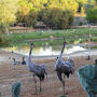 Cañada de los Pájaros Bird Reserve