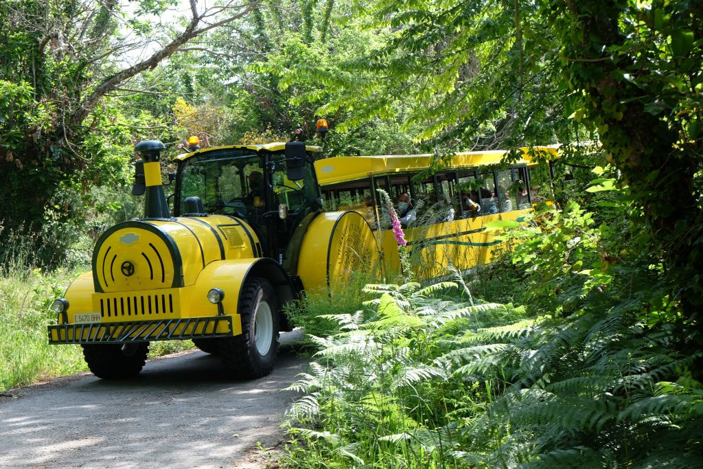 Ribeira Sacra Tourist Train