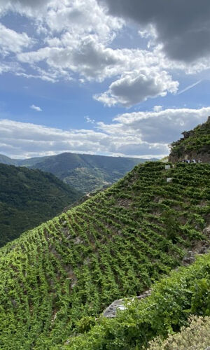 Tren turístico de la Ribeira Sacra