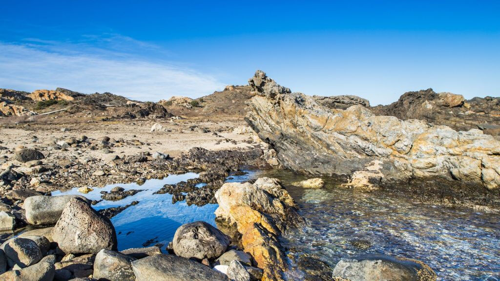 Excursión en barco al Cap de Creus, Cadaqués y Portlligat