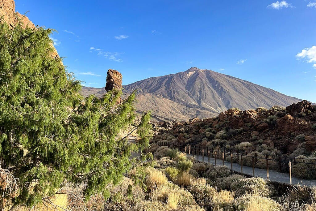 Parque Nacional del Teide, Teide y Masca: Excursión guiada