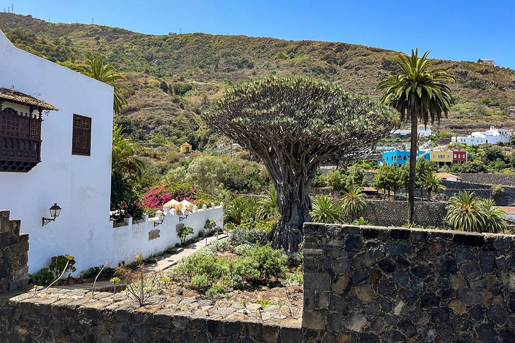 Parque Nacional del Teide, Teide y Masca: Excursión guiada