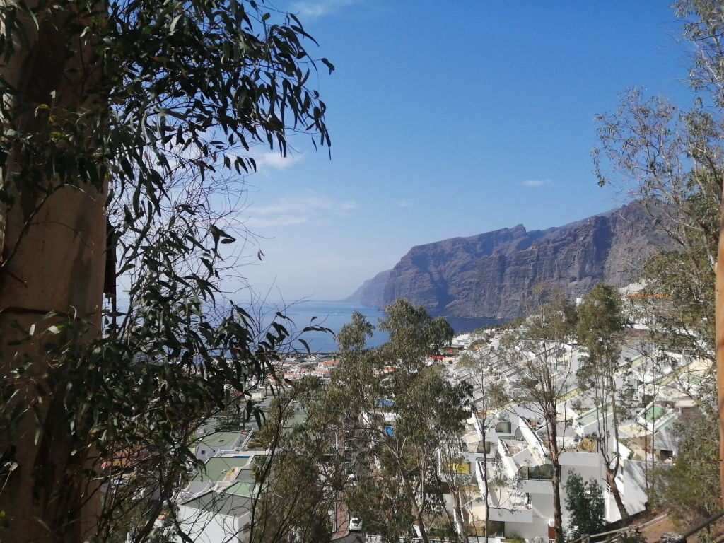 Parque Nacional del Teide, Teide y Masca: Excursión guiada