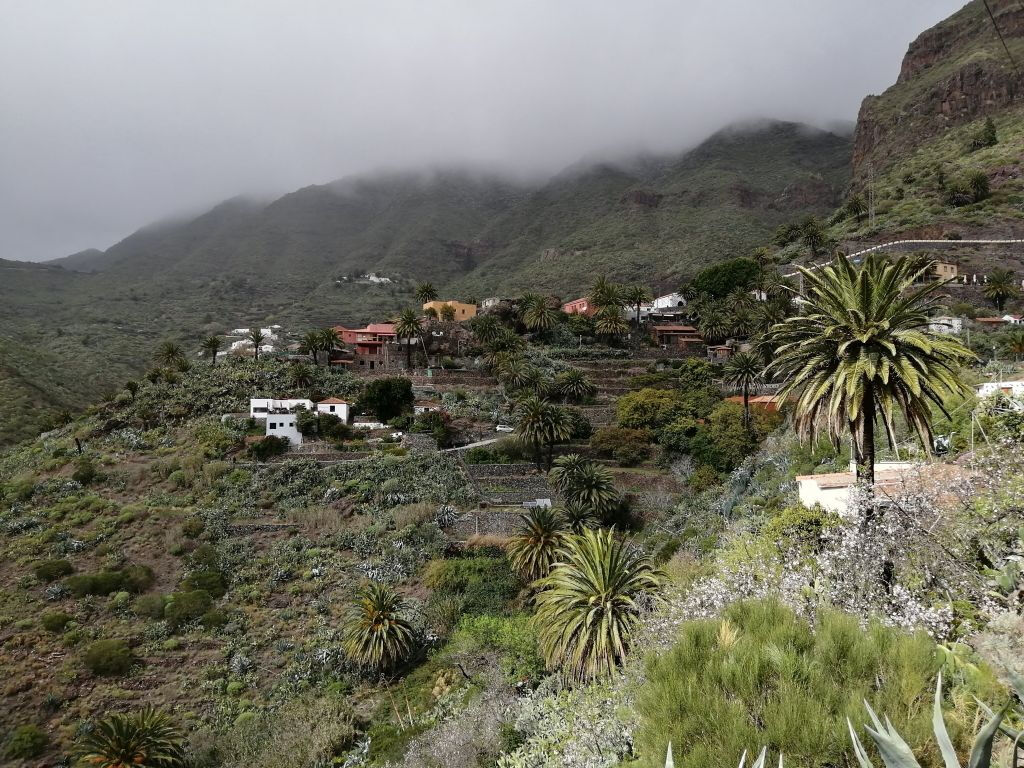 Parque Nacional del Teide, Teide y Masca: Excursión guiada
