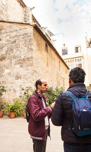 Valencia e i siti Patrimonio dell'Umanità: Tour guidato