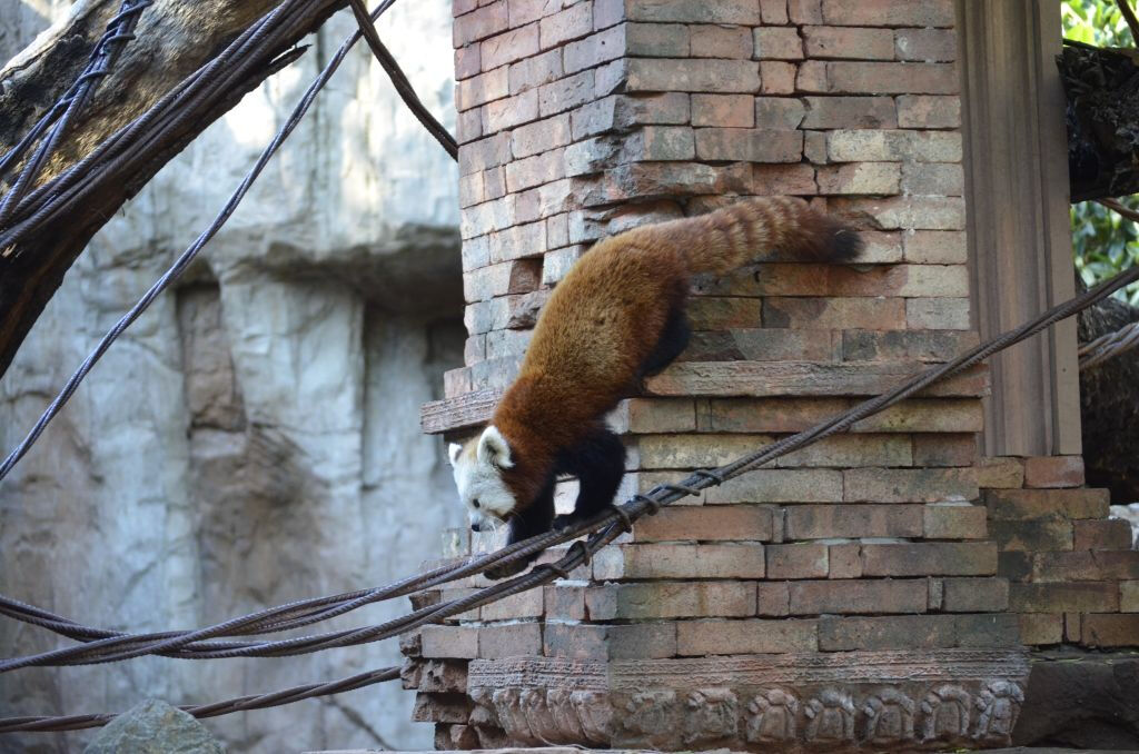 Bioparque Fuengirola