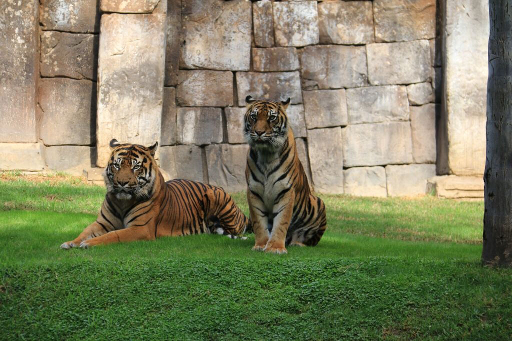 Bioparque Fuengirola