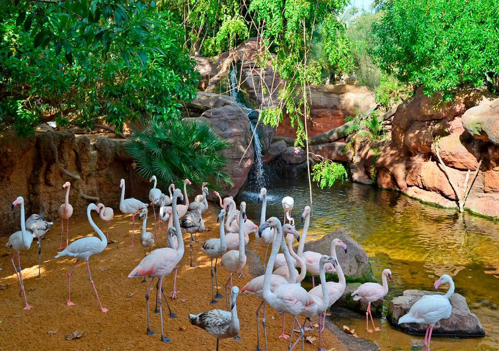 Bioparque Fuengirola