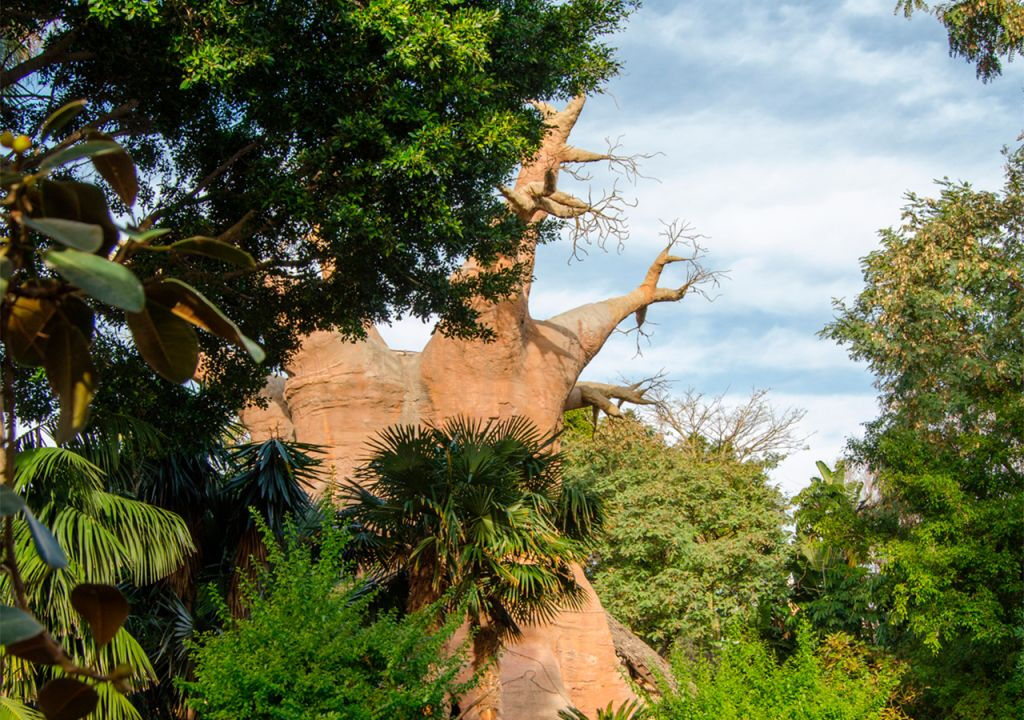 Bioparque Fuengirola
