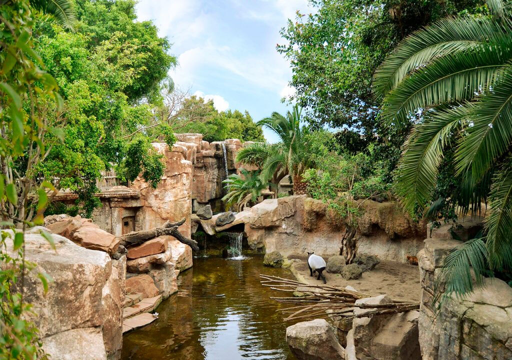 Bioparque Fuengirola