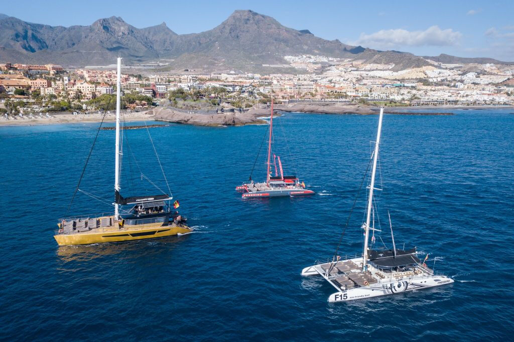 Masca + Los Gigantes: Billete para la excursión de avistamiento de ballenas y delfines
