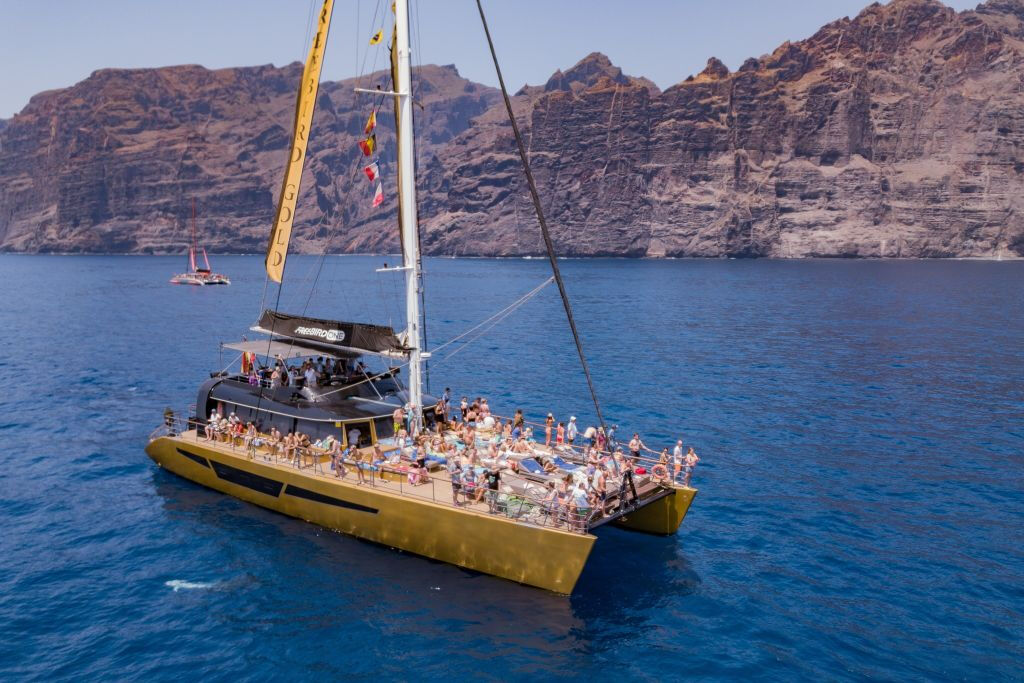 Masca + Los Gigantes: Billete para la excursión de avistamiento de ballenas y delfines