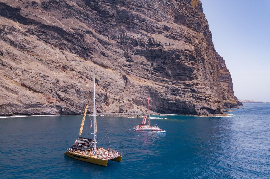 Masca + Los Gigantes: Billete para la excursión de avistamiento de ballenas y delfines