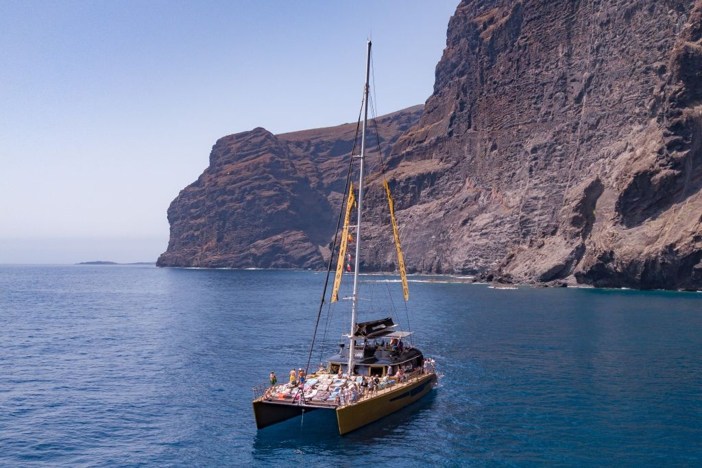Masca + Los Gigantes: Billete para la excursión de avistamiento de ballenas y delfines