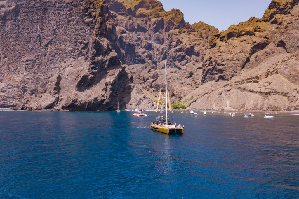 Masca + Los Gigantes: Billete para la excursión de avistamiento de ballenas y delfines