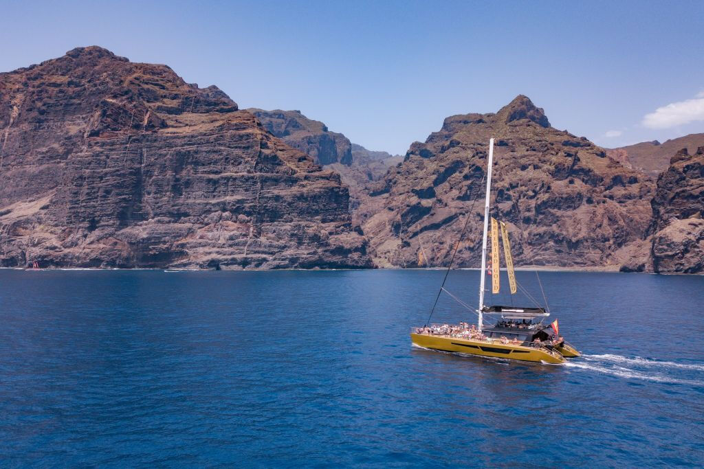 Masca + Los Gigantes: Billete para la excursión de avistamiento de ballenas y delfines