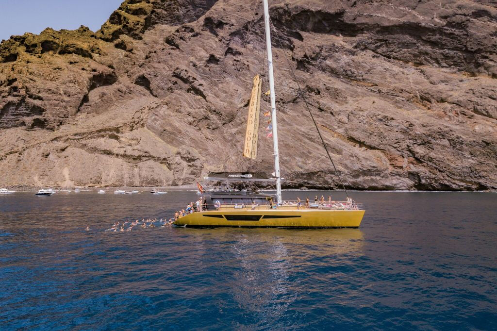 Masca + Los Gigantes : Billet d'excursion pour l'observation des baleines et des dauphins