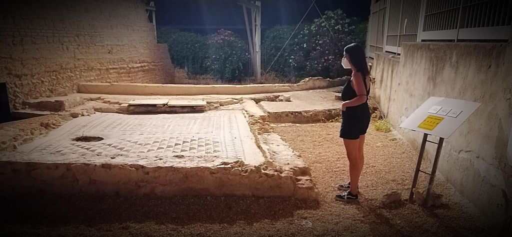 Villa Romana del Sito Archeologico di Fuente Álamo: Tour Audioguidato