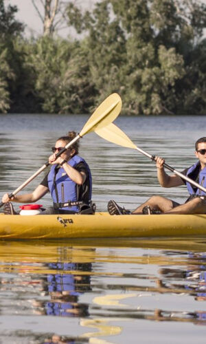 Delta del Ebro: Excursión en kayak