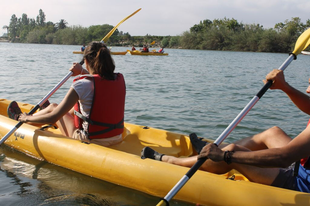 Delta del Ebro: Excursión en kayak