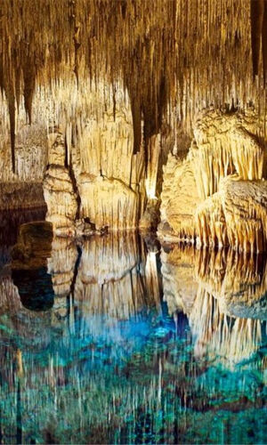 Mallorca: Excursión de Medio Día en Autobús a las Cuevas del Drach y Porto Cristo