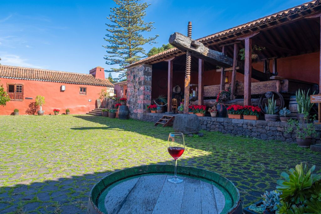 Museo del Vino de Tenerife: Visita y degustación