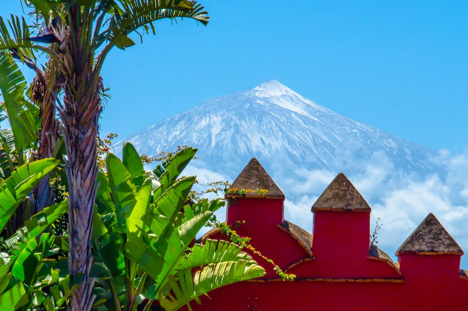Museo del Vino de Tenerife: Visita y degustación