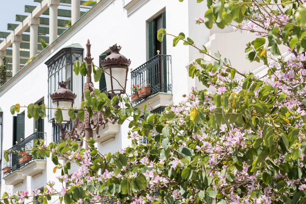 Tour del quartiere ebraico di Siviglia: il quartiere di Santa Cruz