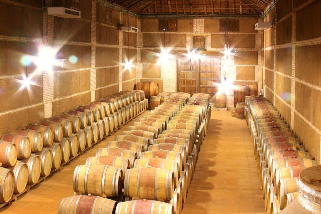 Toledo Full Day: Tapas and Wine