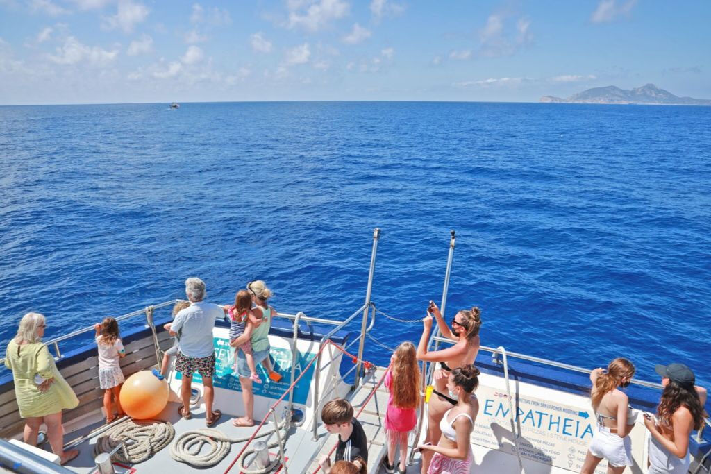 Santa Ponsa: Observación de delfines en barco con fondo de cristal