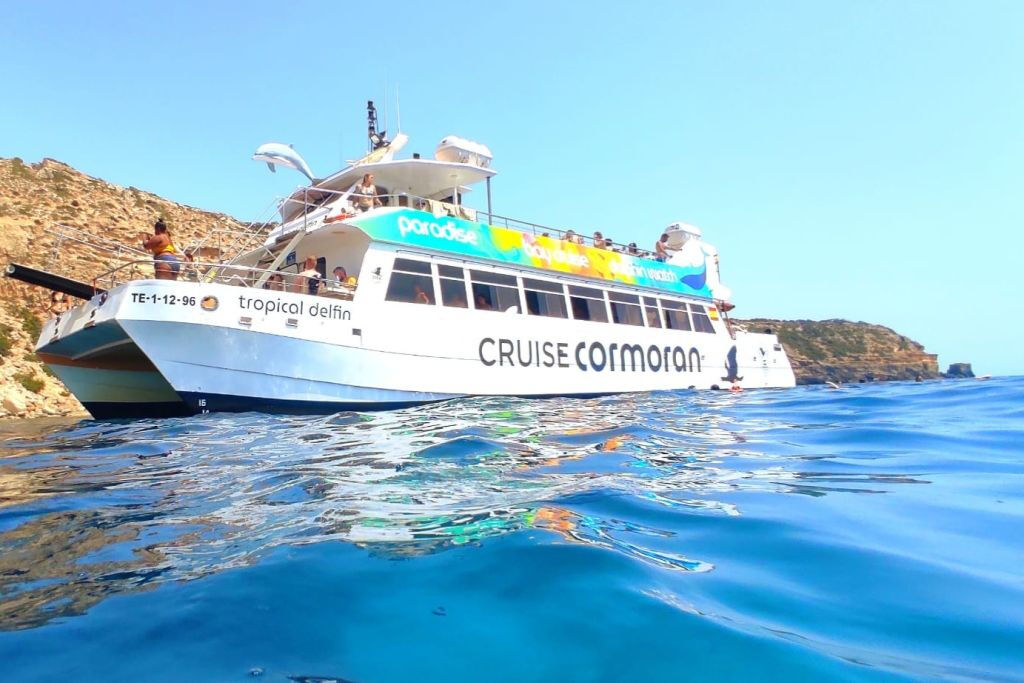 Santa Ponsa: Observación de delfines en barco con fondo de cristal