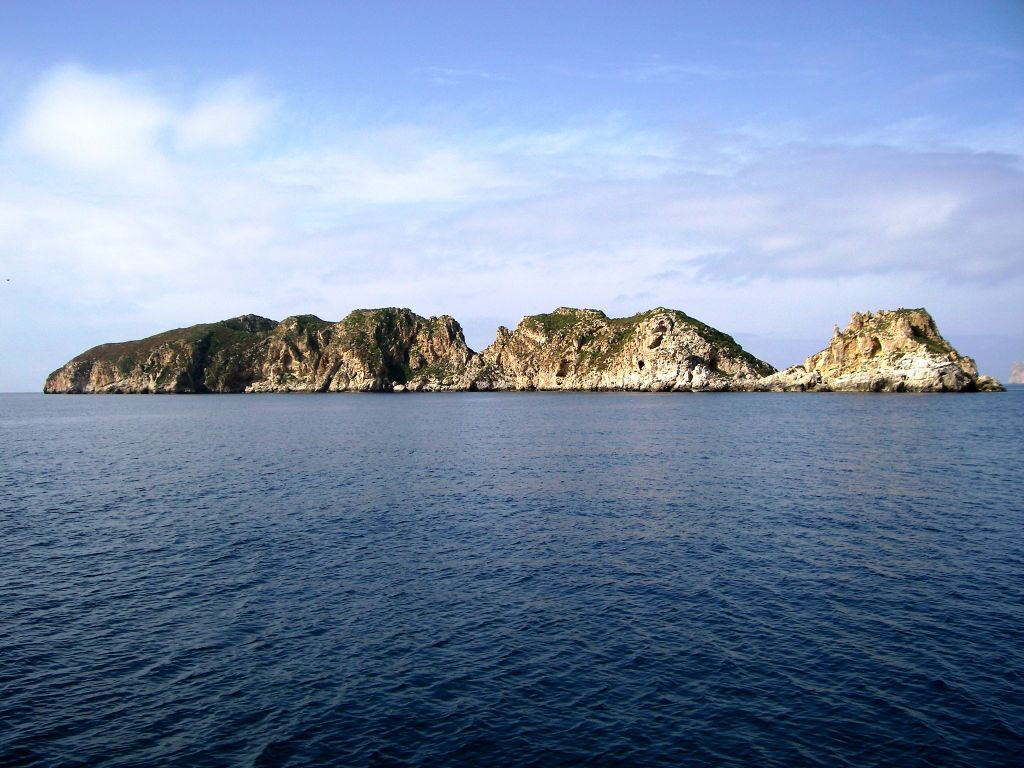 Santa Ponsa: Crucero y barco con fondo de cristal al Puerto de Andratx