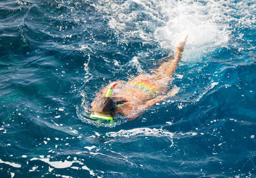 Santa Ponsa: Crociera e barca con fondo di vetro per Puerto de Andratx