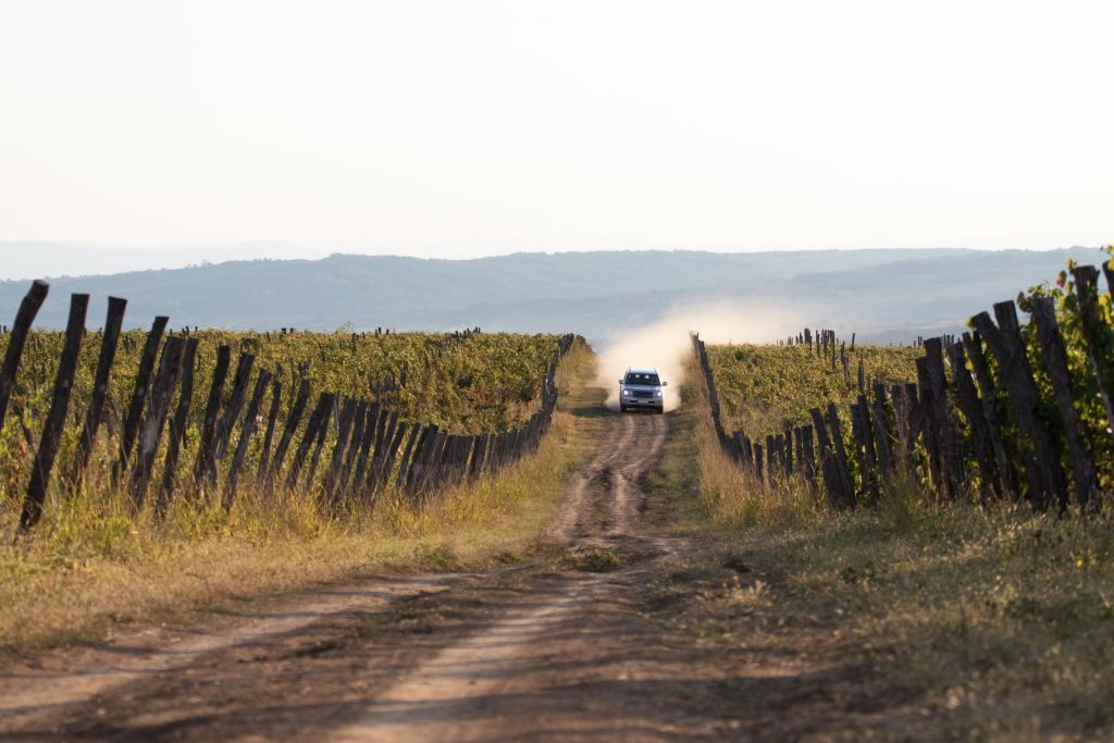 Ribera del Duero Wine Tour and Tasting from Madrid